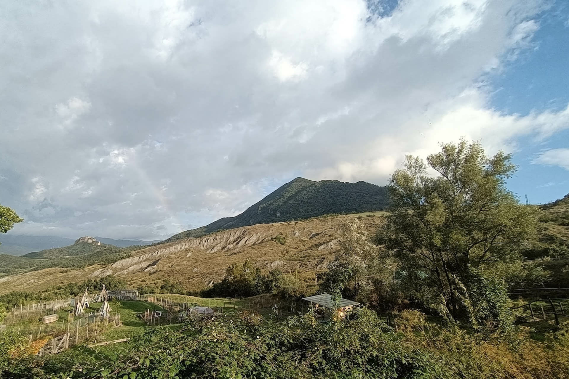 Panorama sul Vigese dall'Albero della Vita