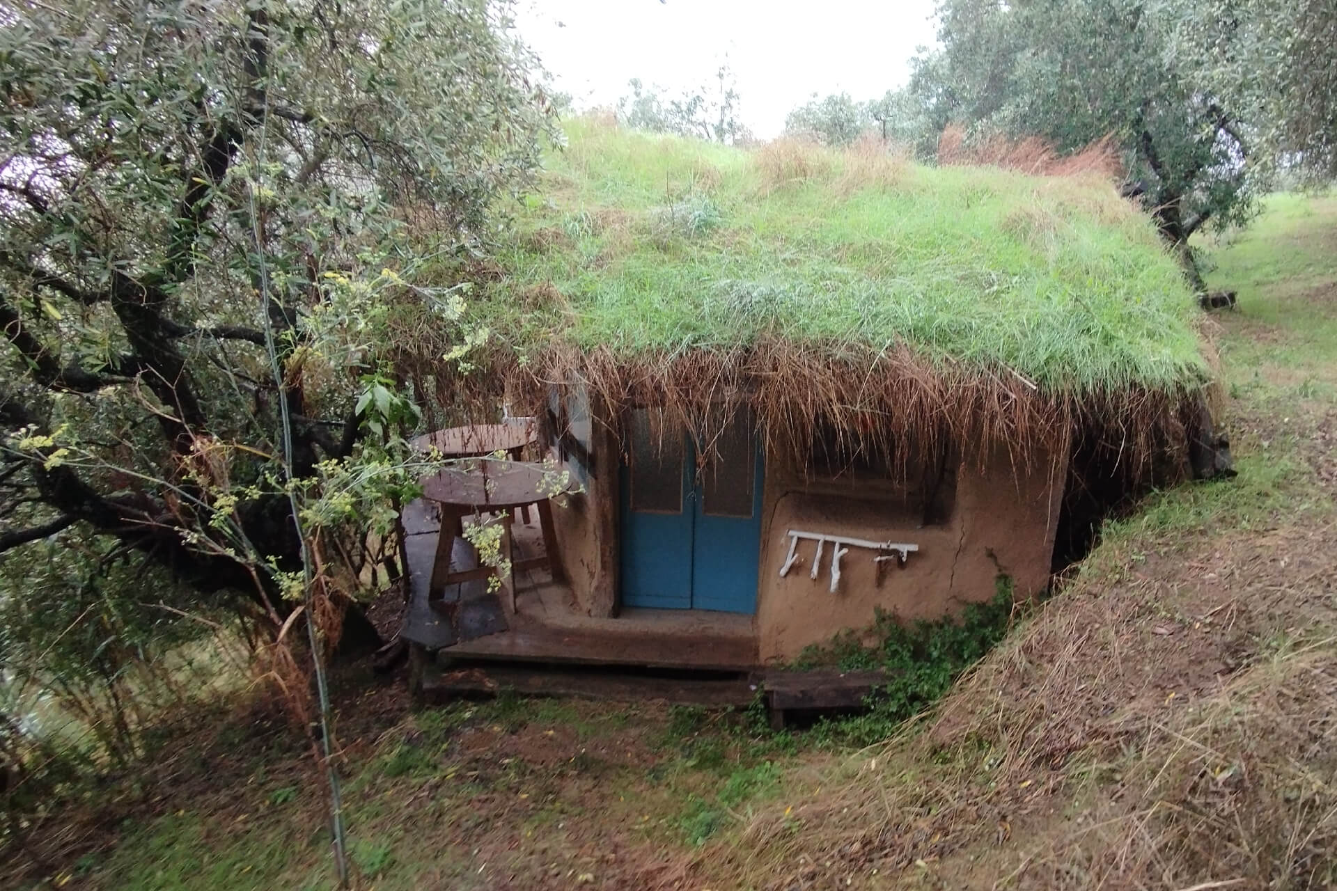 Passi di Quiete - Appenninica - Casa nel bosco ad Avalon