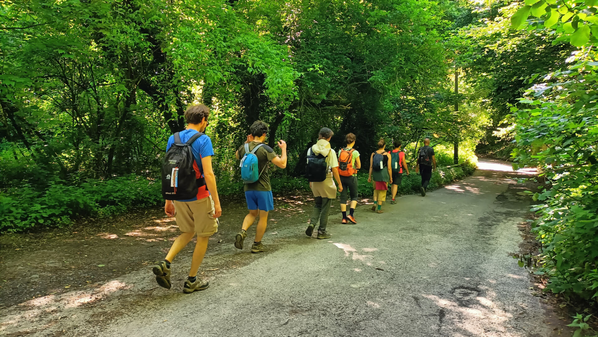 In cammino nel bosco