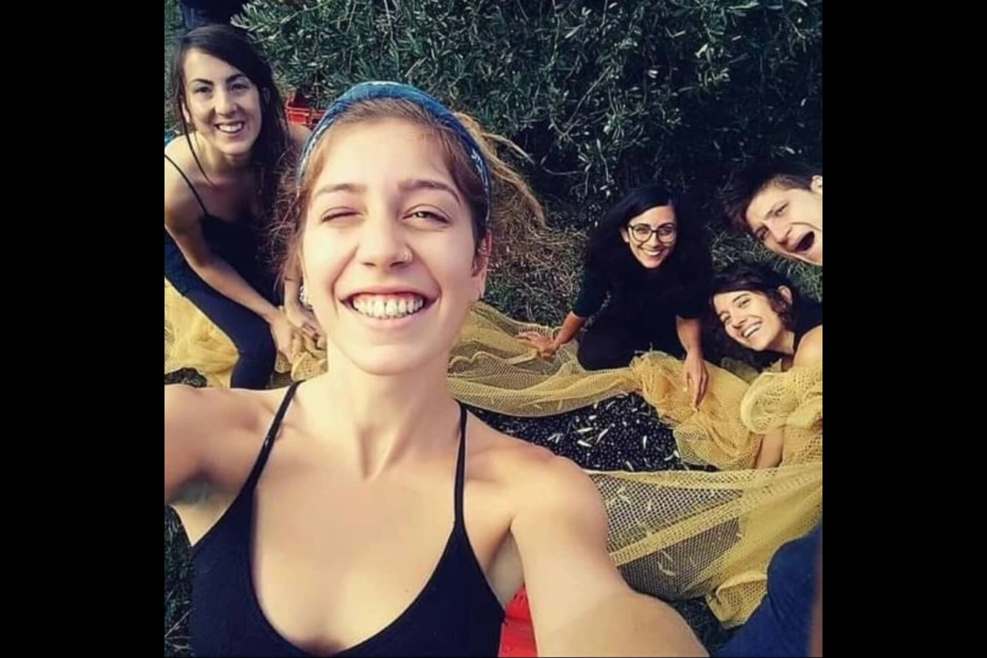 Raccolta olive a Jana