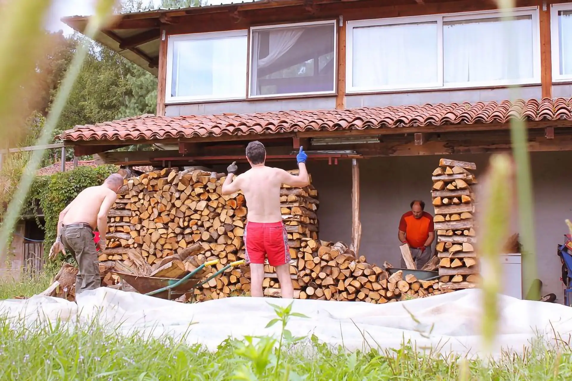 Arca Tentyris - Legnaia