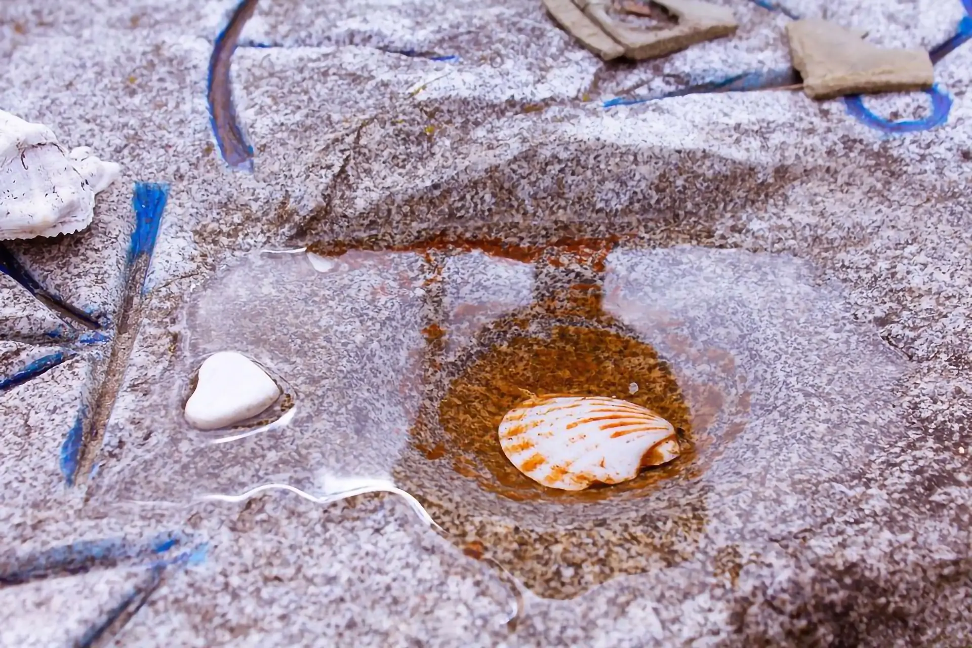 Arca Tentyris - Arte