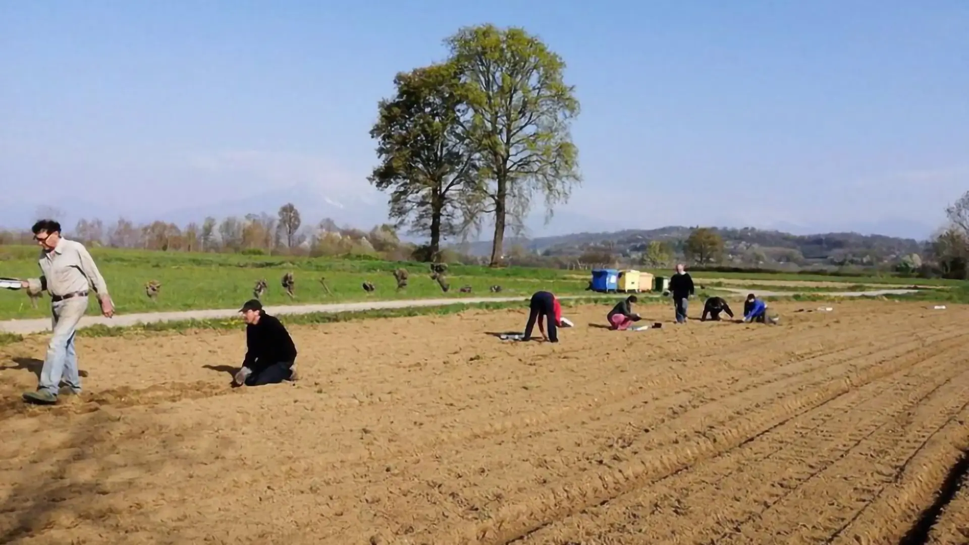 Terre di Oropan - Semina