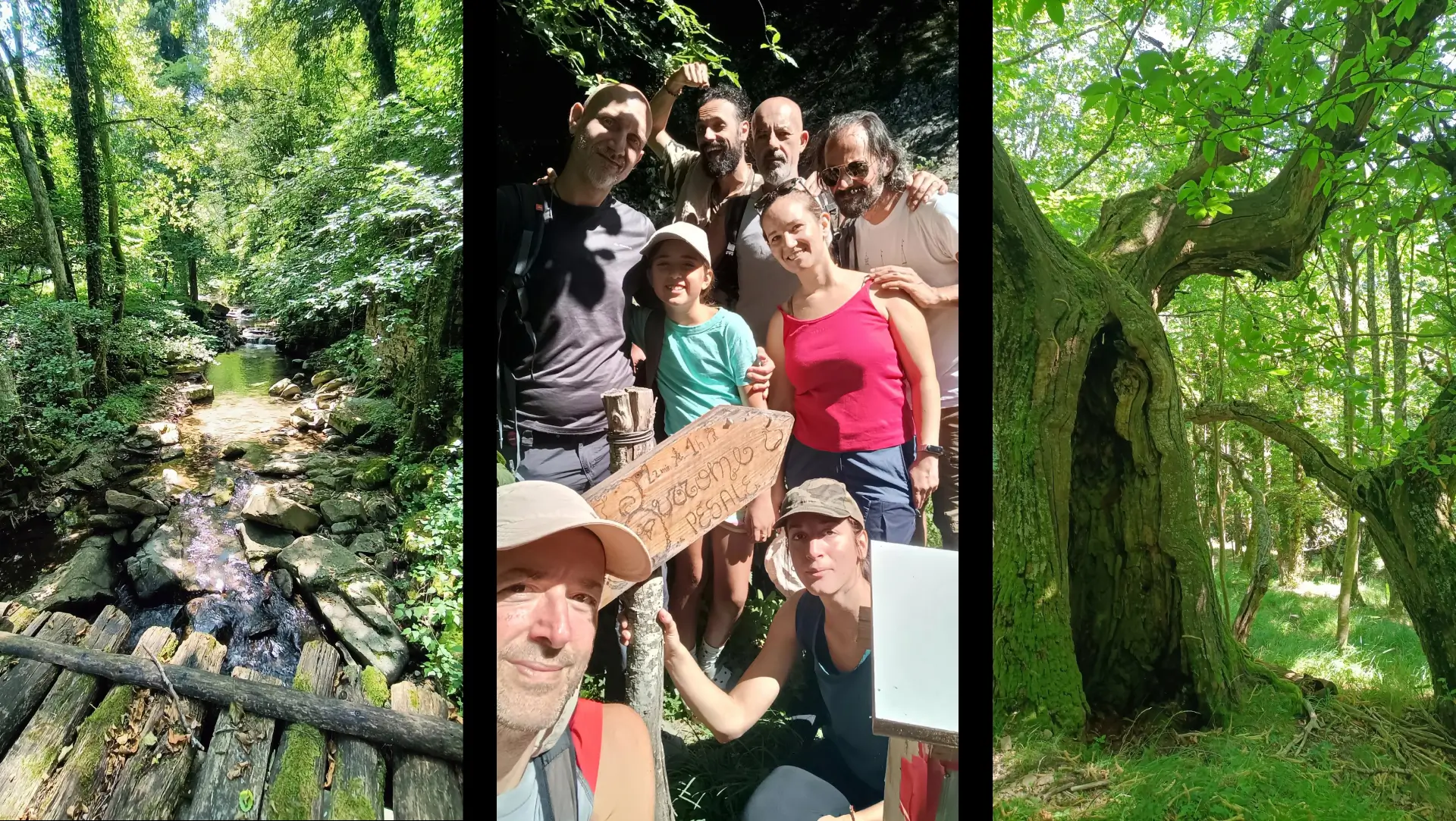 Valle degli Elfi - Collage