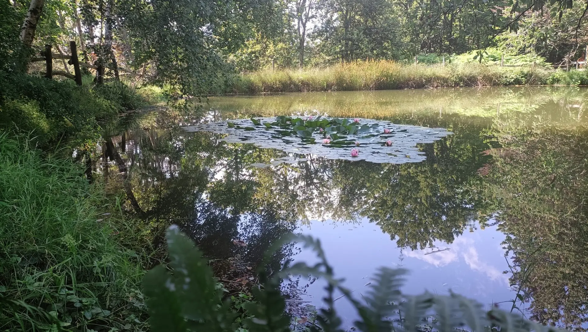 Valle degli Elfi - Laghetto